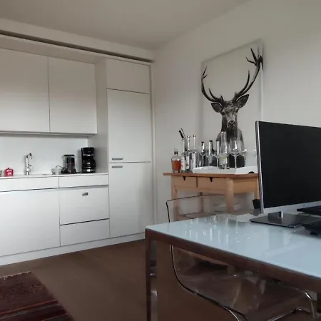 Appartement Loft Im Herzen Der Berner Altstadt *