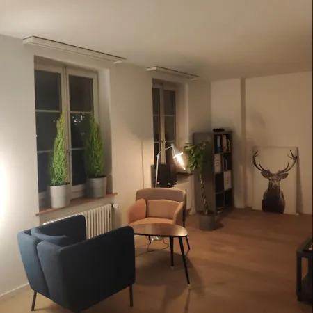 Loft Im Herzen Der Berner Altstadt